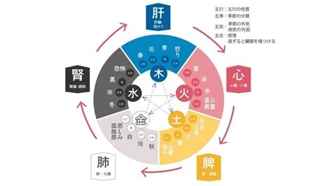 日本 五行|「陰陽五行」の意味や「陰陽説」と「五行説」をわか。